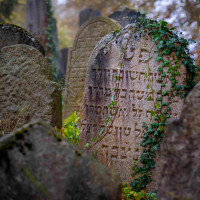 m_židovský hřbitov (1).jpg