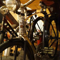 Cestovní kolo z r. 1930, Ing. Adolf Bareuther & Co. Fahrradfabrik Eger. Ocelový rám odpružený, 1 převod, váha 22,54 kg. 
